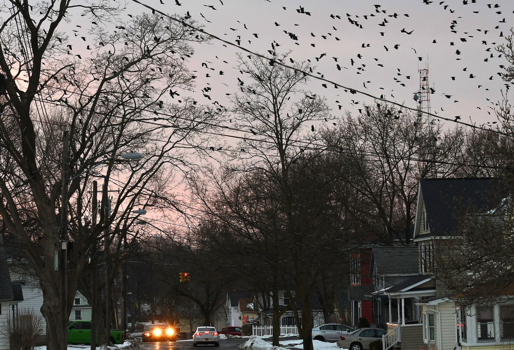 Crows 3